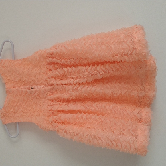 Cat & jack baby girl dress size 28 months - Picture 2 of 3